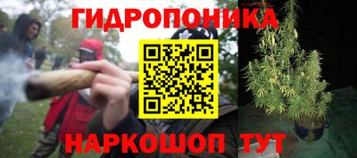 сатива Кунгур