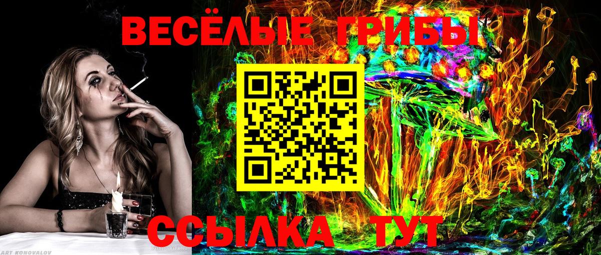 Псилоцибиновые грибы прущие грибы Елабуга